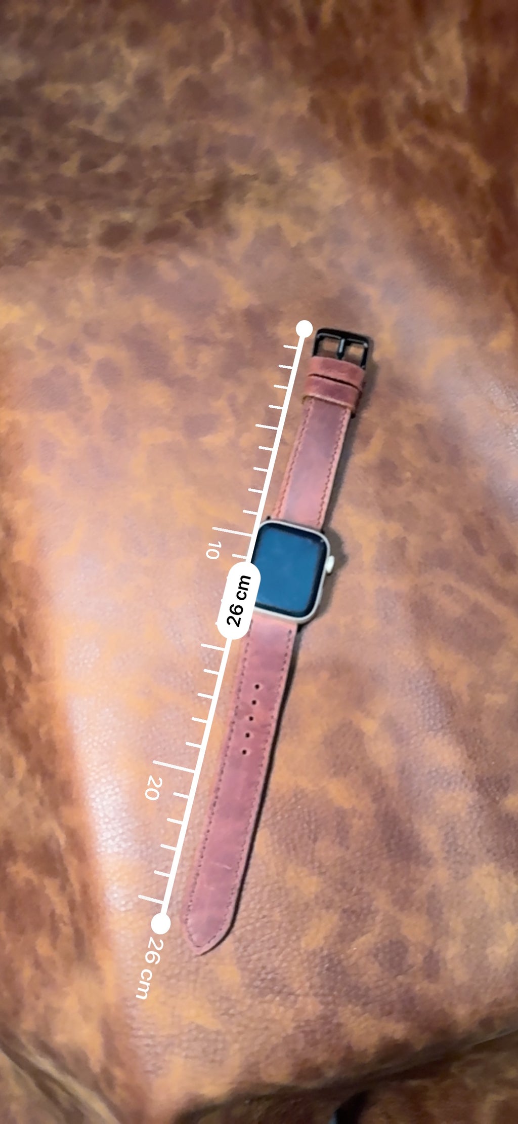 The Saddle Buckle - Watch Strap
