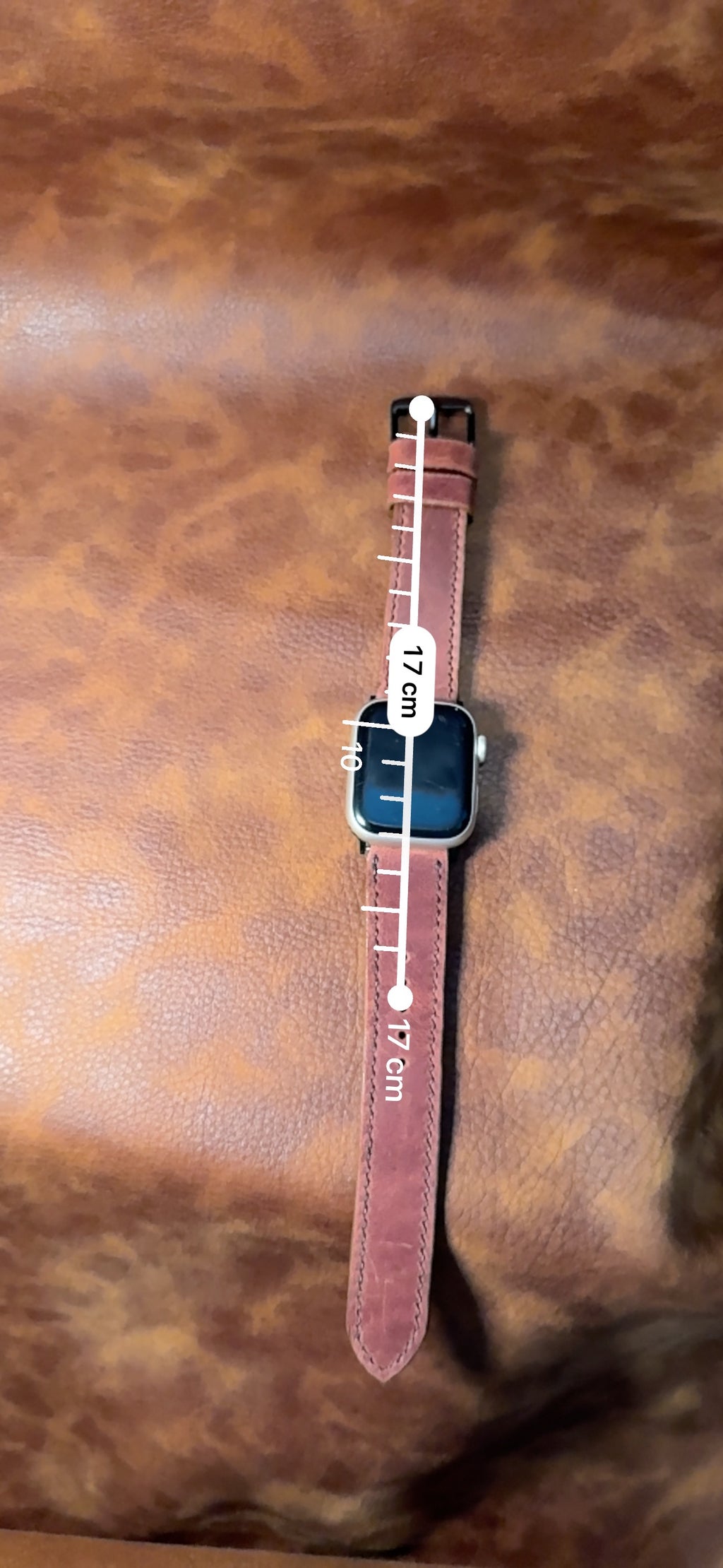 The Saddle Buckle - Watch Strap